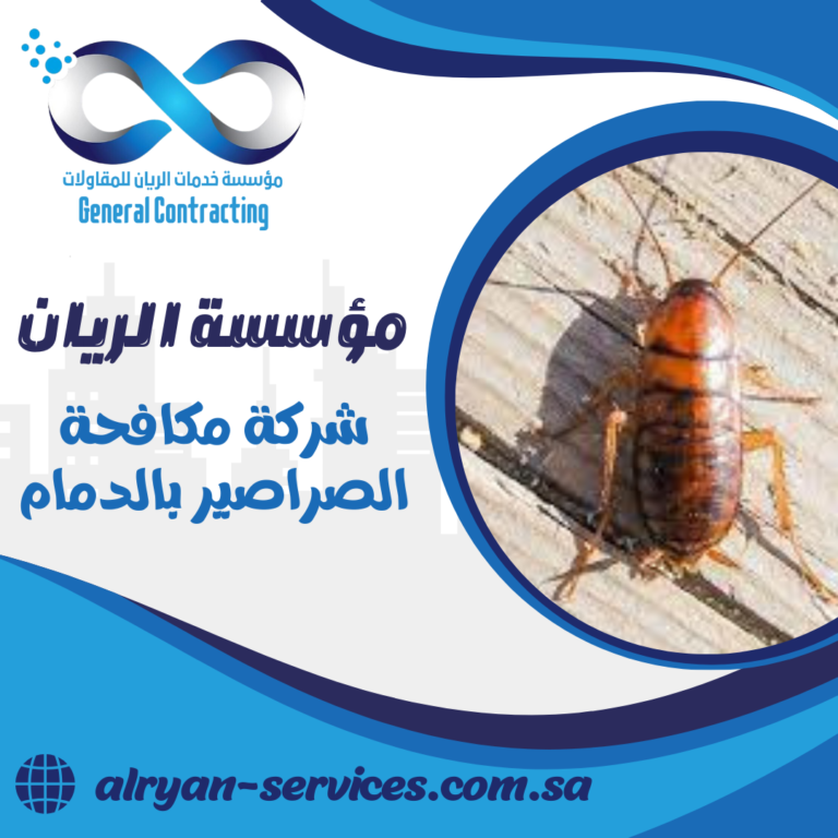 شركة مكافحة الصراصير بالدمام 0505151786 ابادة الحشرات بالدمام