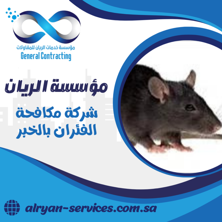 شركة مكافحة الفئران بالخبر 0505151786 ابادة الفئران والقوارض بالخبر