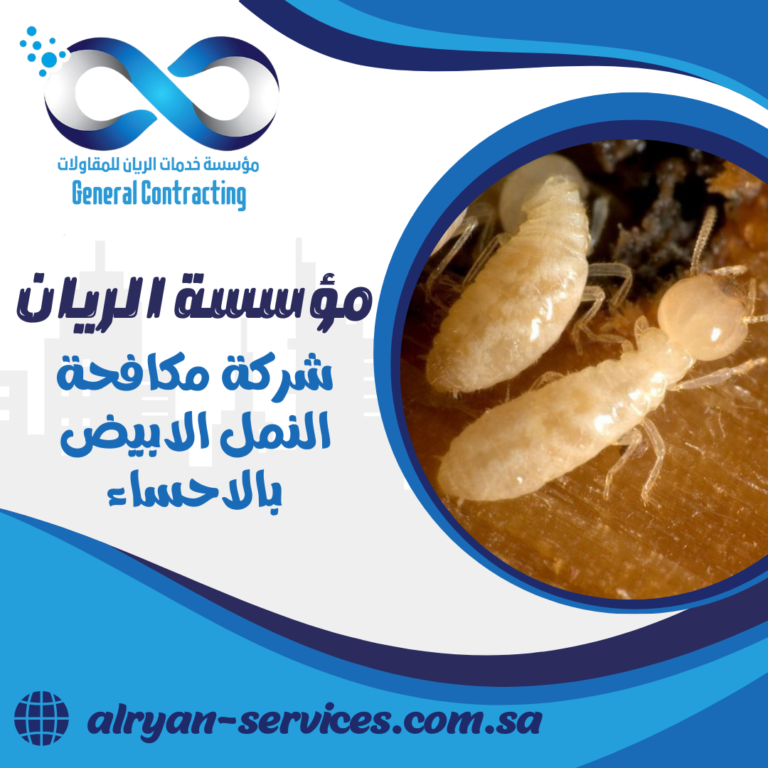 شركة مكافحة النمل الابيض بالاحساء 0505151786 رش وابادة النمل الابيض بالاحساء