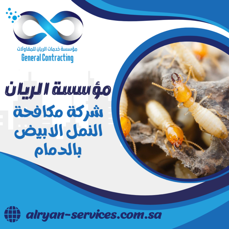 شركة مكافحة النمل الابيض بالدمام 0505151786 رش الدفان و النمل الابيض بالدمام