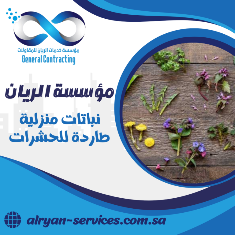 نباتات منزلية طاردة للحشرات